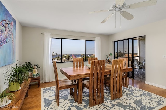 dining room featuring ceiling fan and hardwood / wood-style flooring