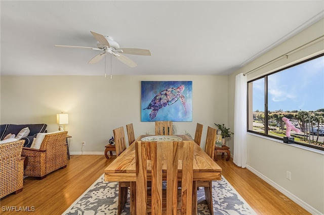 dining space with ceiling fan and light hardwood / wood-style floors