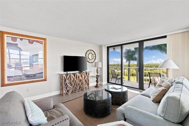 living room with hardwood / wood-style flooring and floor to ceiling windows