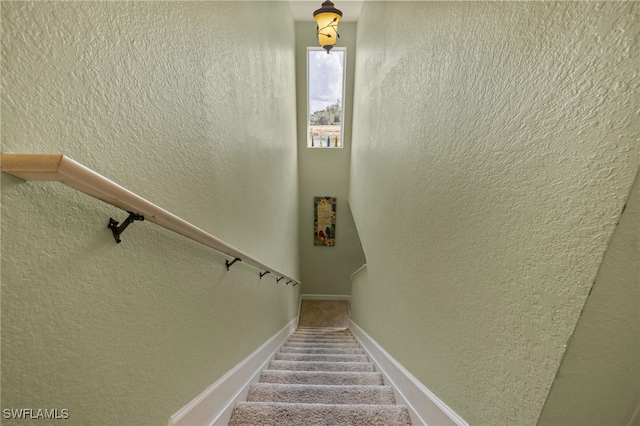 stairs with carpet floors