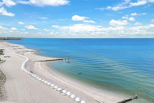 property view of water featuring a beach view