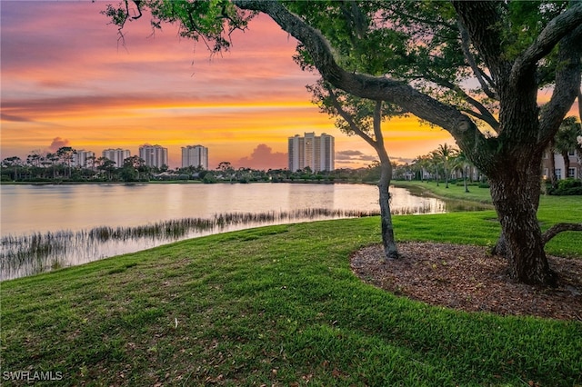 property view of water with a city view