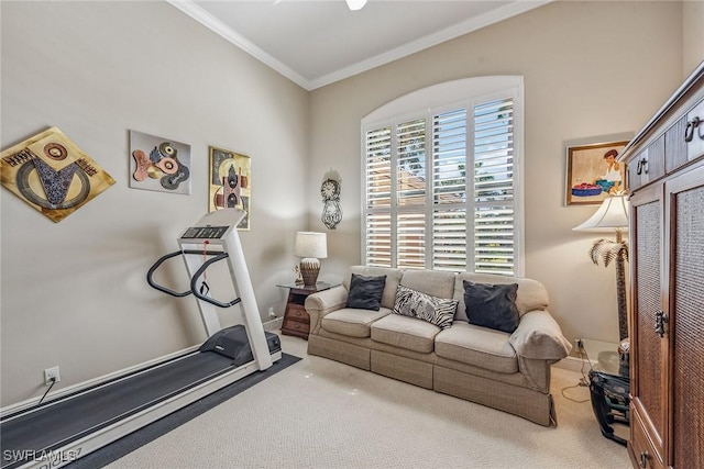 workout area featuring carpet flooring and crown molding