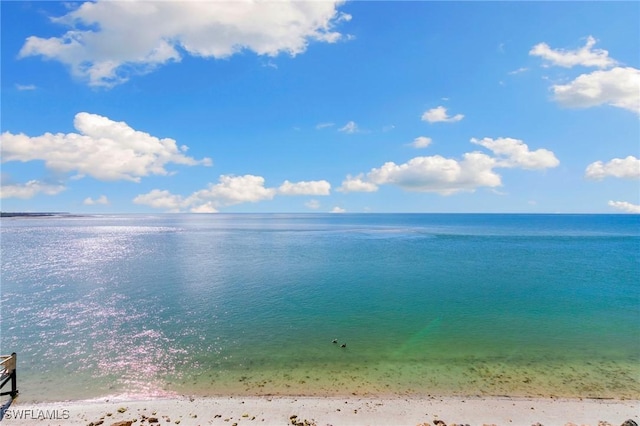 property view of water with a view of the beach