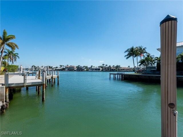 dock area with a water view