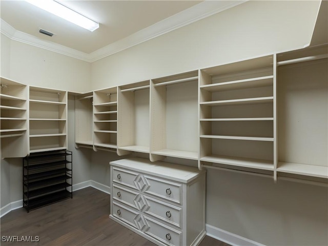 spacious closet with dark hardwood / wood-style flooring