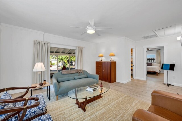 living room with light hardwood / wood-style floors, ceiling fan, and ornamental molding