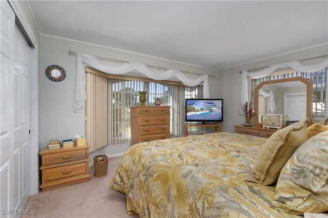 carpeted bedroom with crown molding and a closet