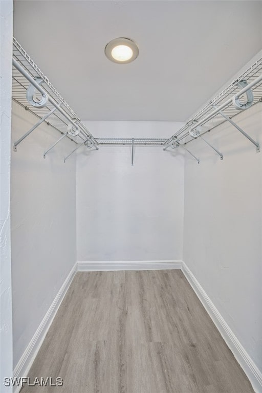 walk in closet with wood-type flooring