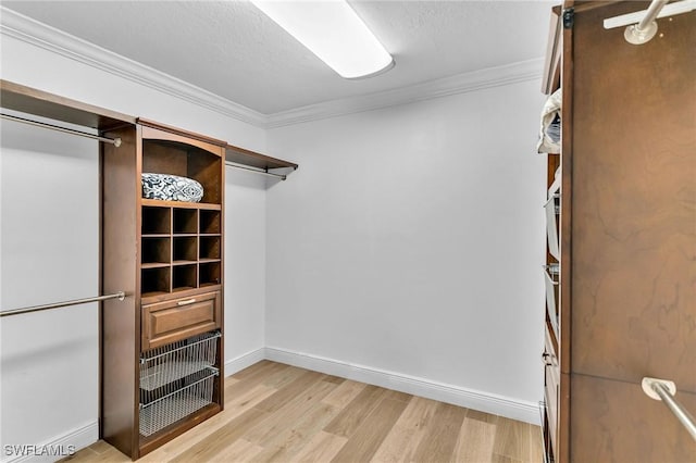 spacious closet featuring light hardwood / wood-style flooring