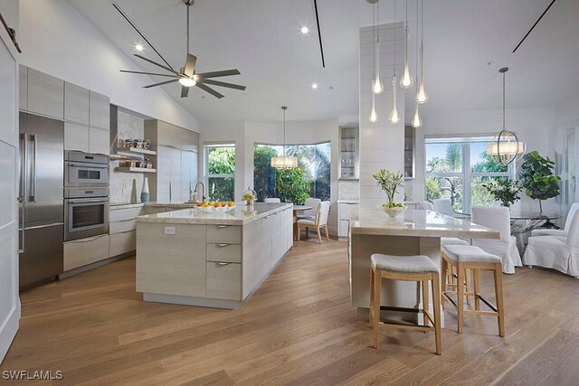 kitchen featuring a spacious island, hanging light fixtures, light hardwood / wood-style flooring, and stainless steel appliances