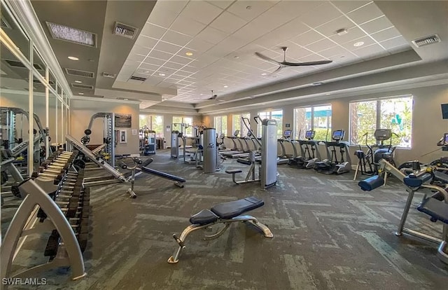 exercise room with a paneled ceiling, ceiling fan, and carpet