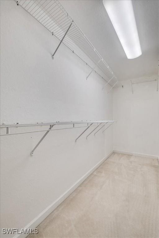 spacious closet featuring light colored carpet