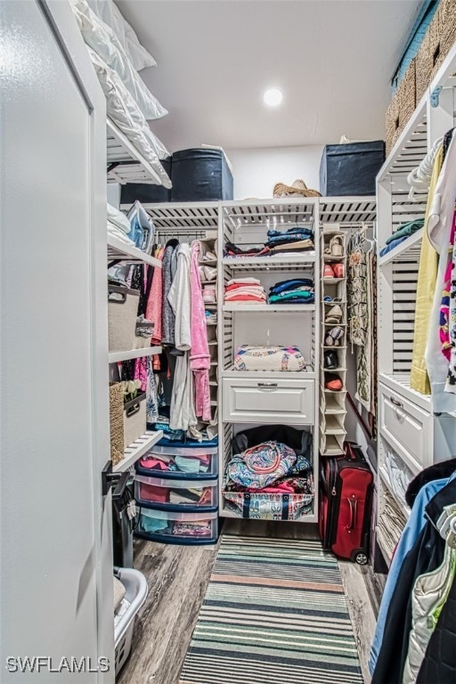 spacious closet with hardwood / wood-style floors