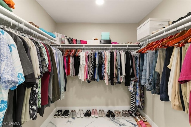 view of spacious closet