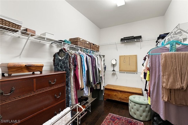 spacious closet with dark wood-type flooring