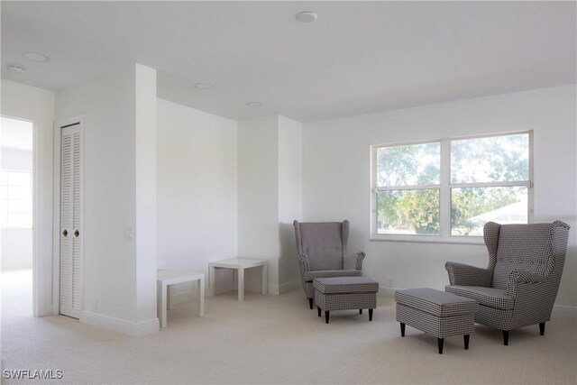 living area with light colored carpet