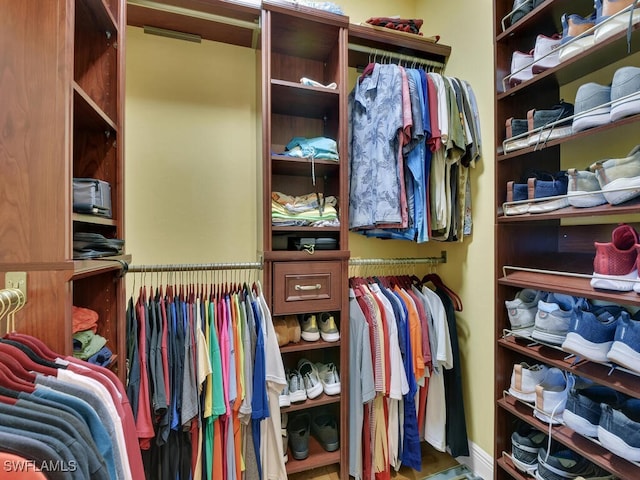 view of spacious closet