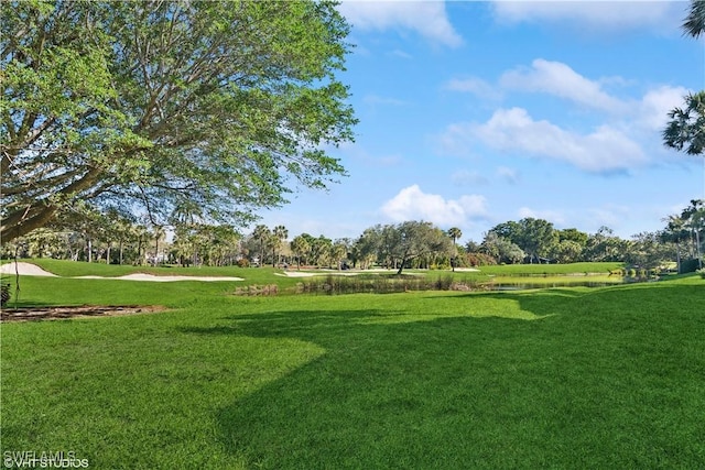 view of home's community with a lawn