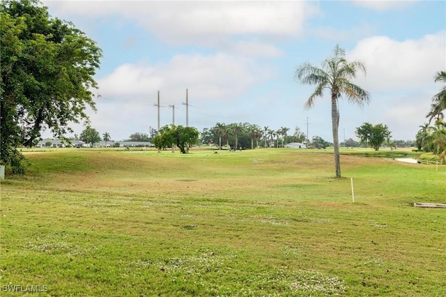 view of community with a yard