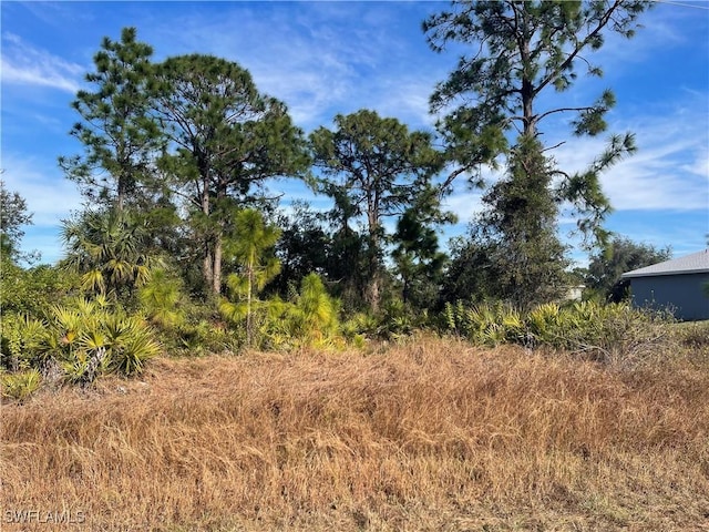 869 Grant Blvd, Lehigh Acres FL, 33974 land for sale