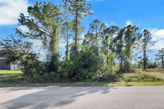 2911 33rd St SW, Lehigh Acres FL, 33976 land for sale