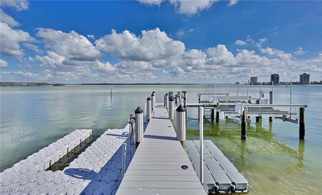 dock area with a water view