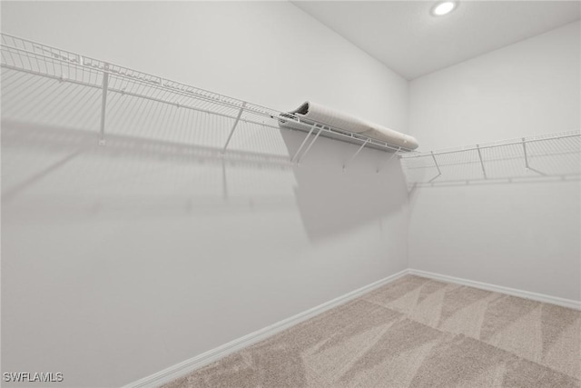 spacious closet featuring carpet