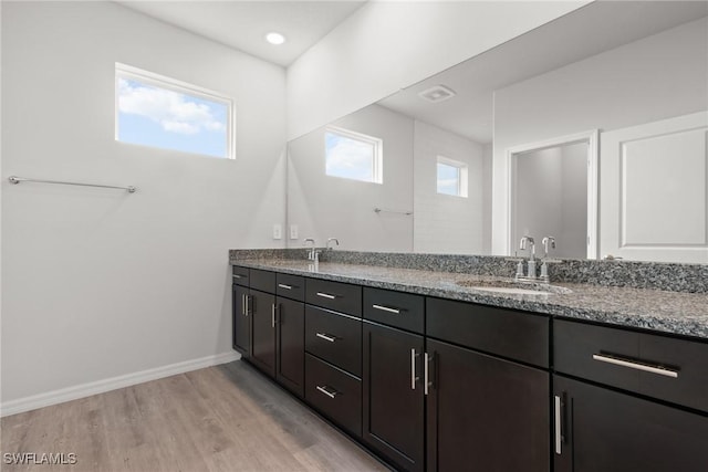 bathroom with plenty of natural light, vanity, and hardwood / wood-style flooring