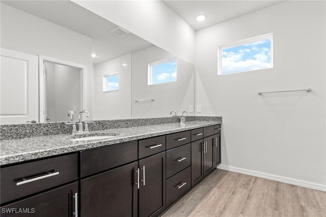 bathroom featuring a wealth of natural light, hardwood / wood-style floors, and vanity