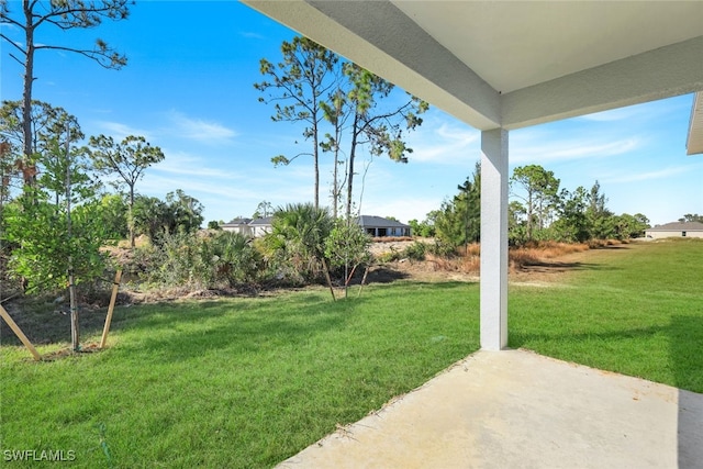 view of yard featuring a patio