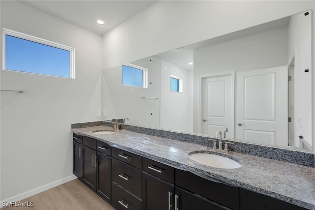 bathroom featuring hardwood / wood-style floors, vanity, and a healthy amount of sunlight