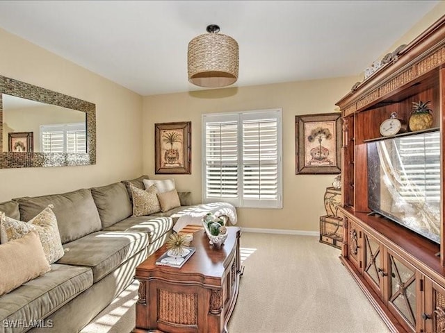 living room with light carpet