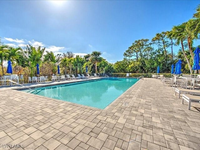 view of swimming pool featuring a patio