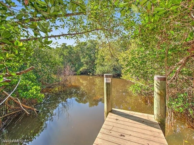 view of dock with a water view