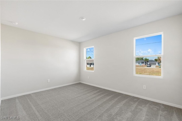 spare room featuring carpet floors and a wealth of natural light