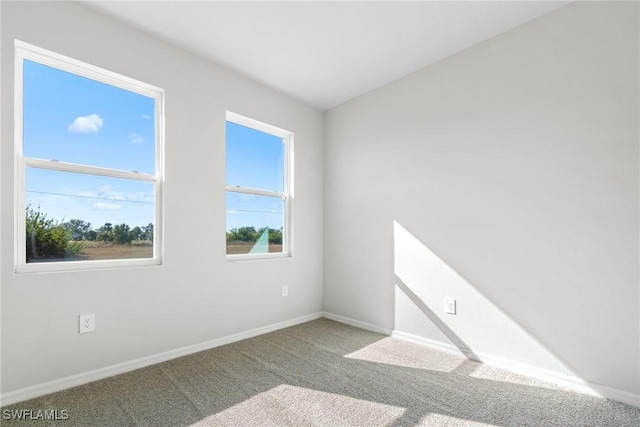 spare room featuring carpet flooring