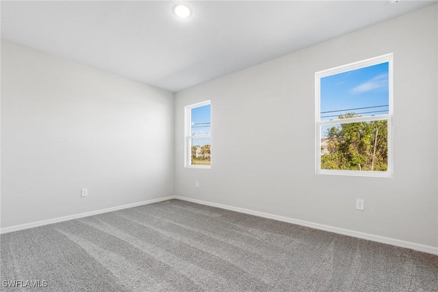 unfurnished room featuring carpet flooring