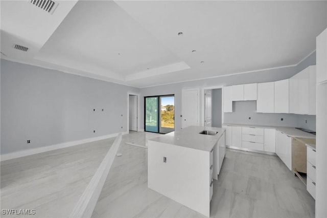 kitchen featuring a tray ceiling, a center island, white cabinets, and sink