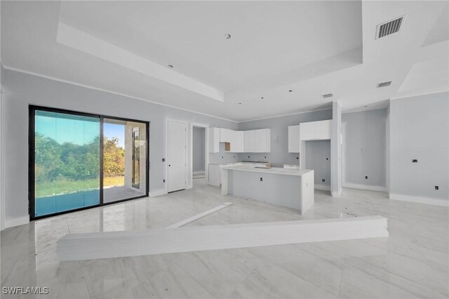 kitchen with white cabinets, a raised ceiling, and a kitchen island