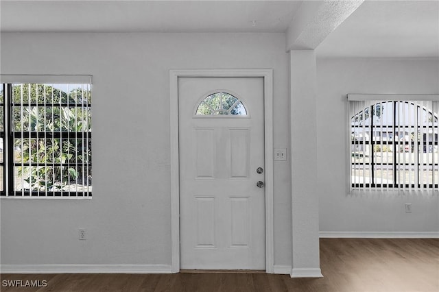 entrance foyer with dark hardwood / wood-style floors