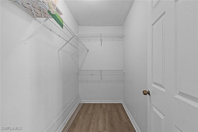 spacious closet featuring wood-type flooring