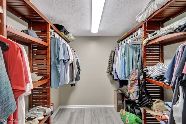 walk in closet with light wood-type flooring