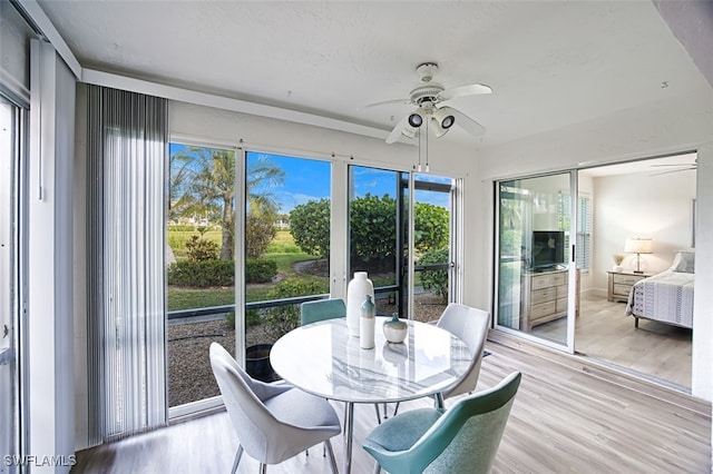 sunroom with ceiling fan