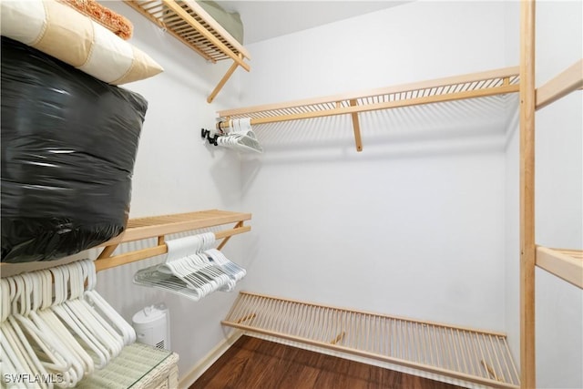 spacious closet featuring wood-type flooring