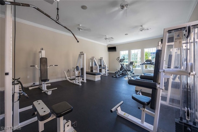 exercise room with ceiling fan and ornamental molding