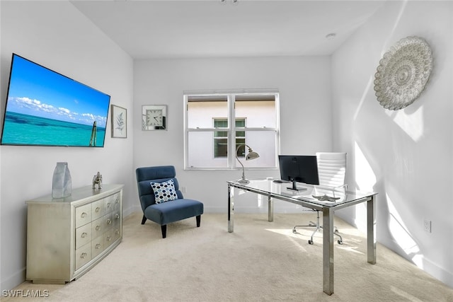 home office with light colored carpet