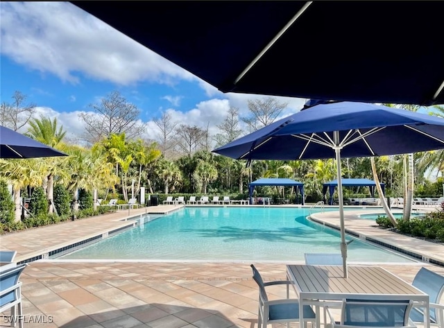 view of pool featuring a patio area