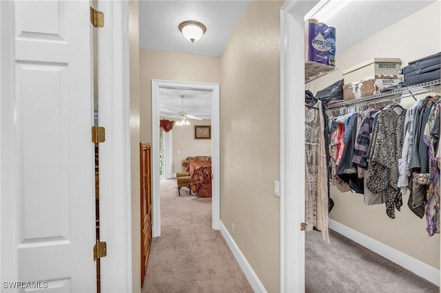 hallway with light carpet