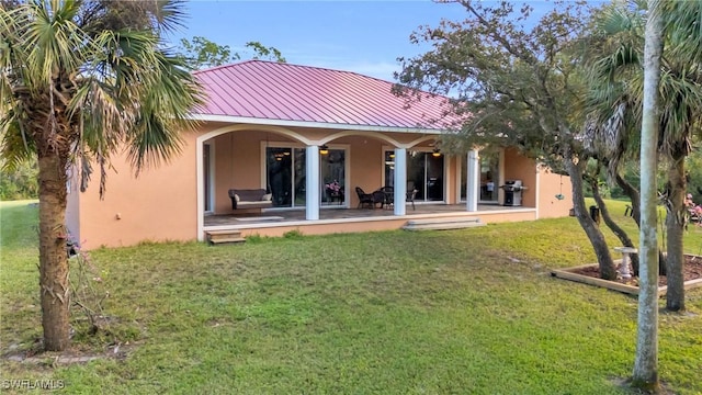 back of house with a patio area and a yard